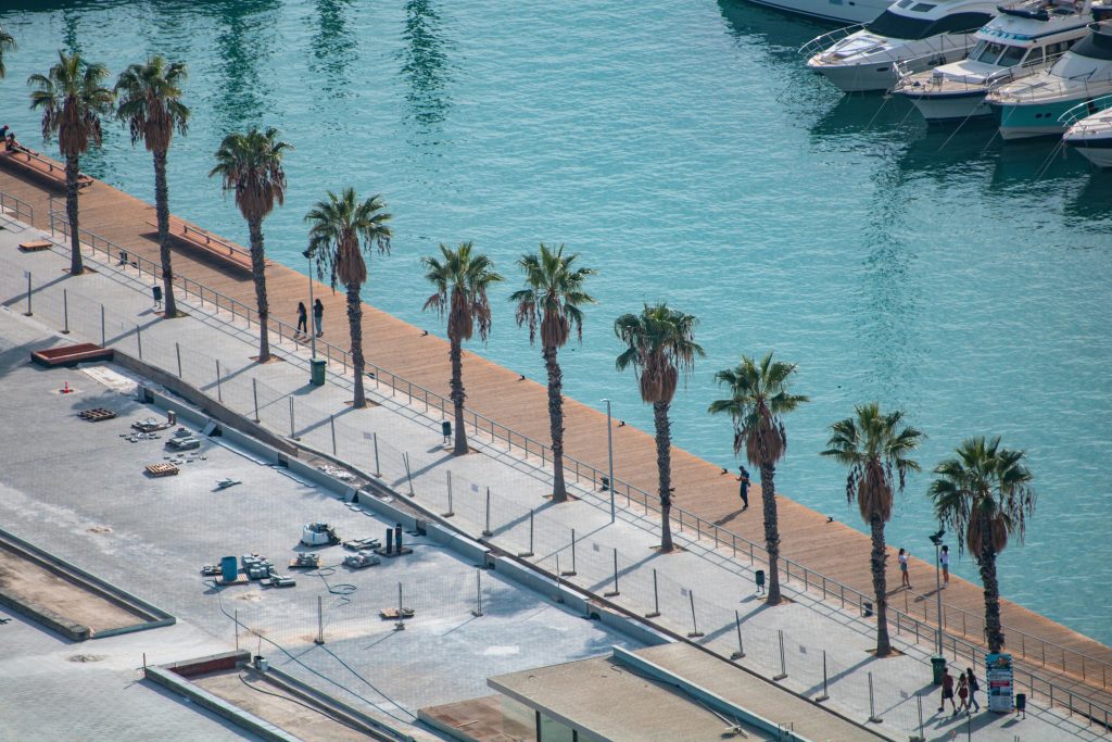 A scenic view of Alicante's marina, featuring palm trees and yachts along the serene waterfront.